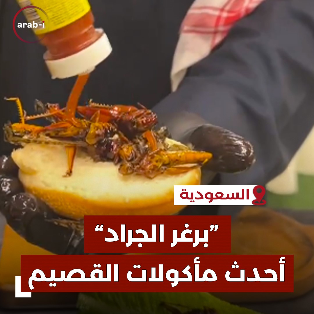 السعوديون يفتتحون موسم الجراد بتحويله إلى برغر وسناك